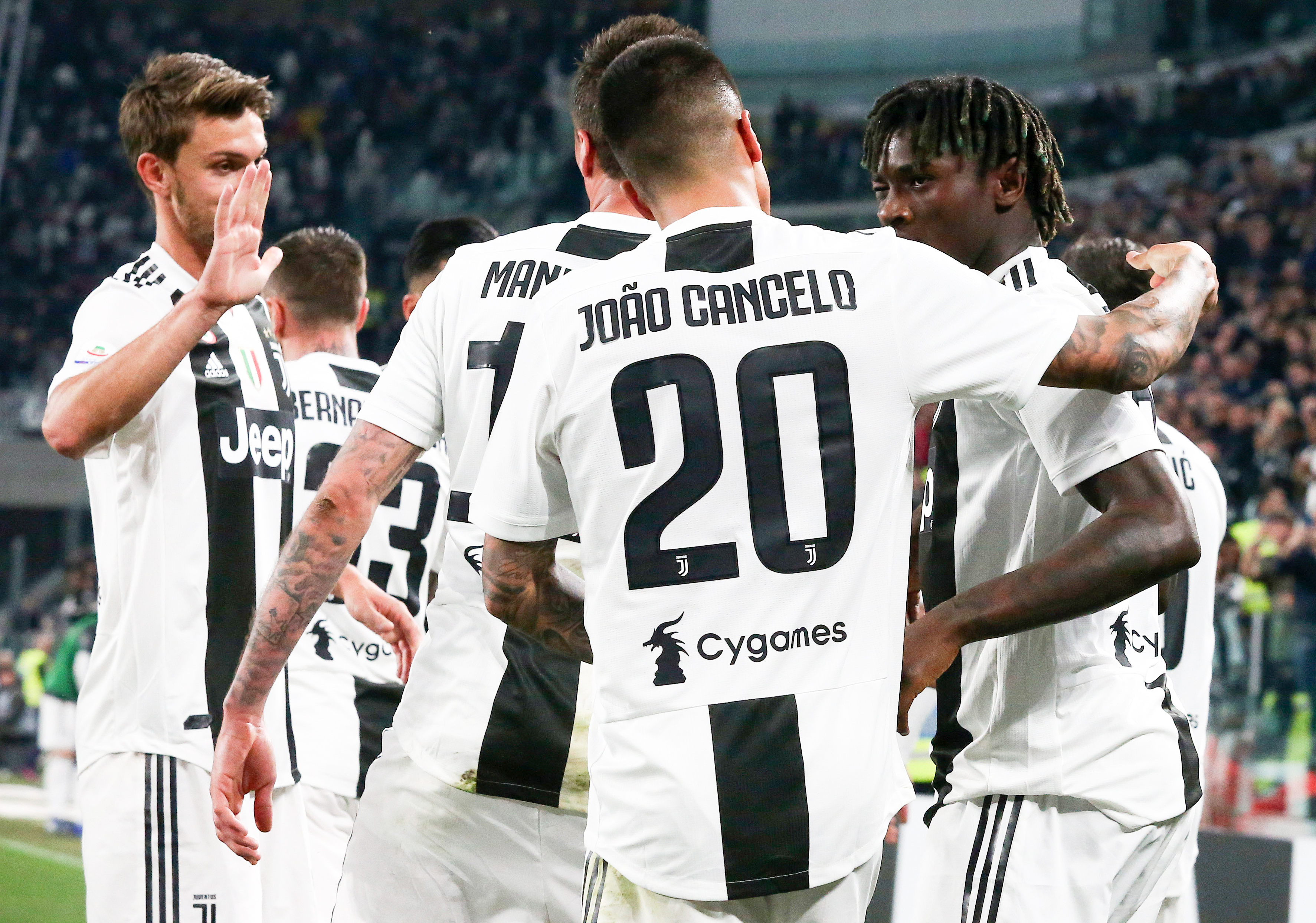 它们在比赛 它们在比赛